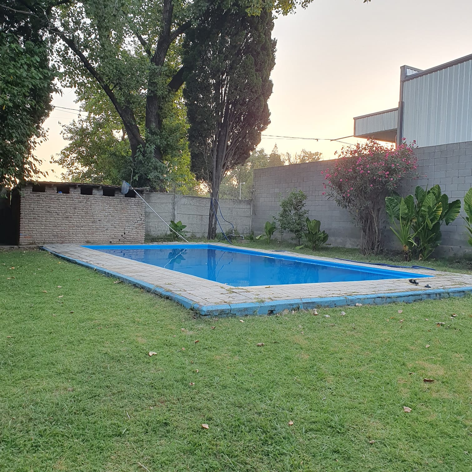 WhatsApp Image 2025-12-28 at 22.53.471.jpeg